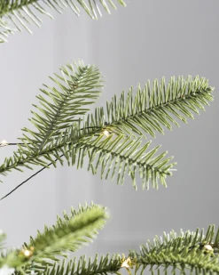 Online Alpine Balsam Fir Tabletop Tabletop & Accent Trees