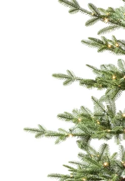 Online Alpine Balsam Fir Tabletop Tabletop & Accent Trees