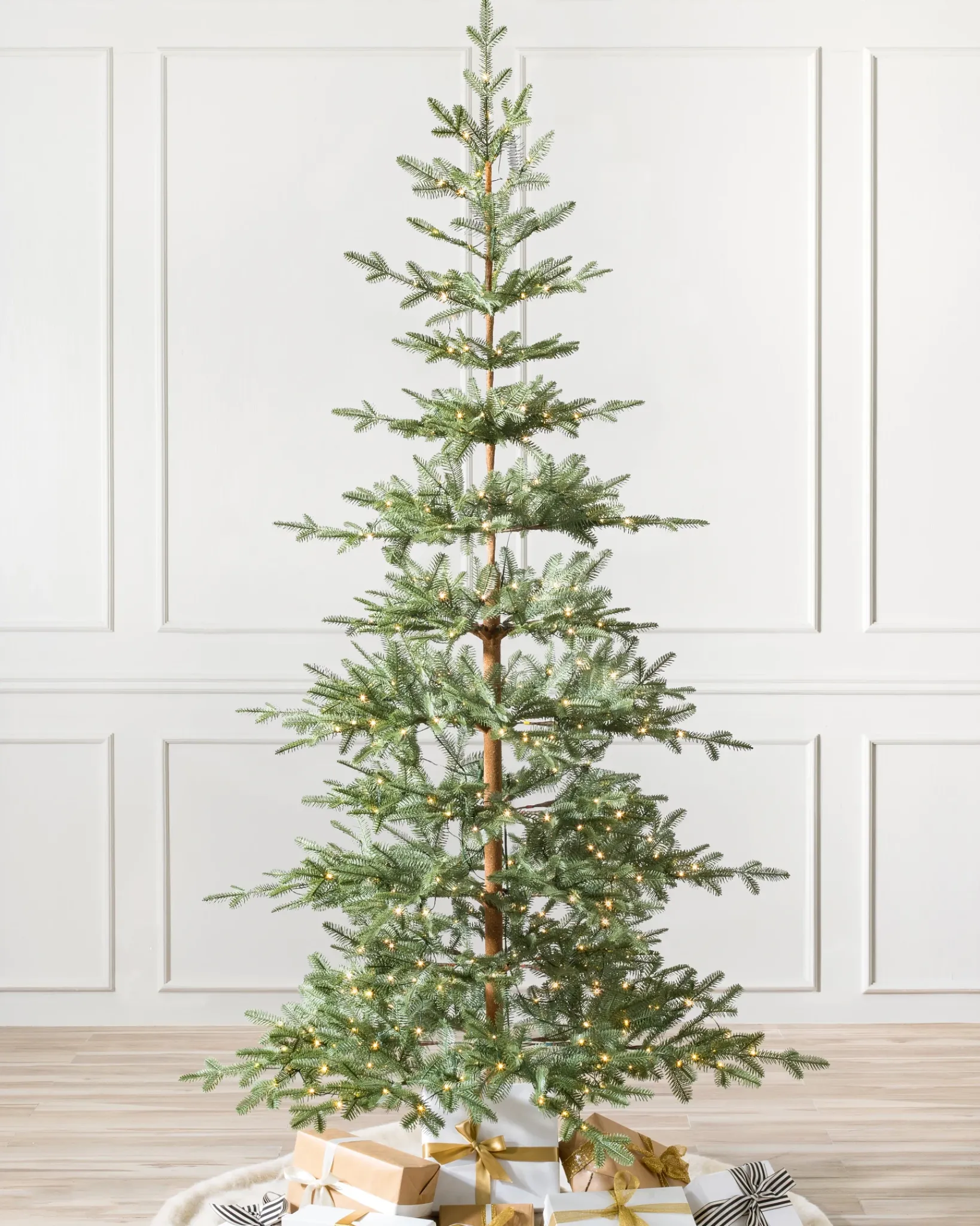 Hot Alpine Balsam Fir Trees 7 - 7.5 Feet|Under 6 Feet