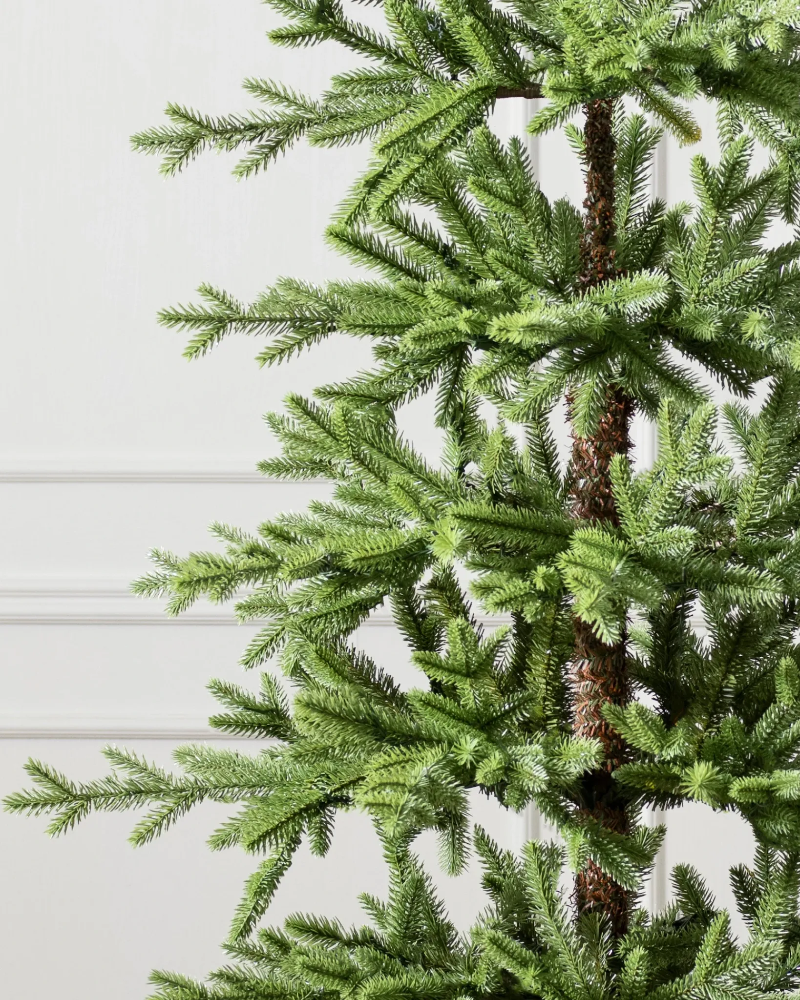 Hot Alpine Balsam Fir Trees 7 - 7.5 Feet|Under 6 Feet