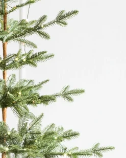 Hot Alpine Balsam Fir Trees 7 - 7.5 Feet|Under 6 Feet