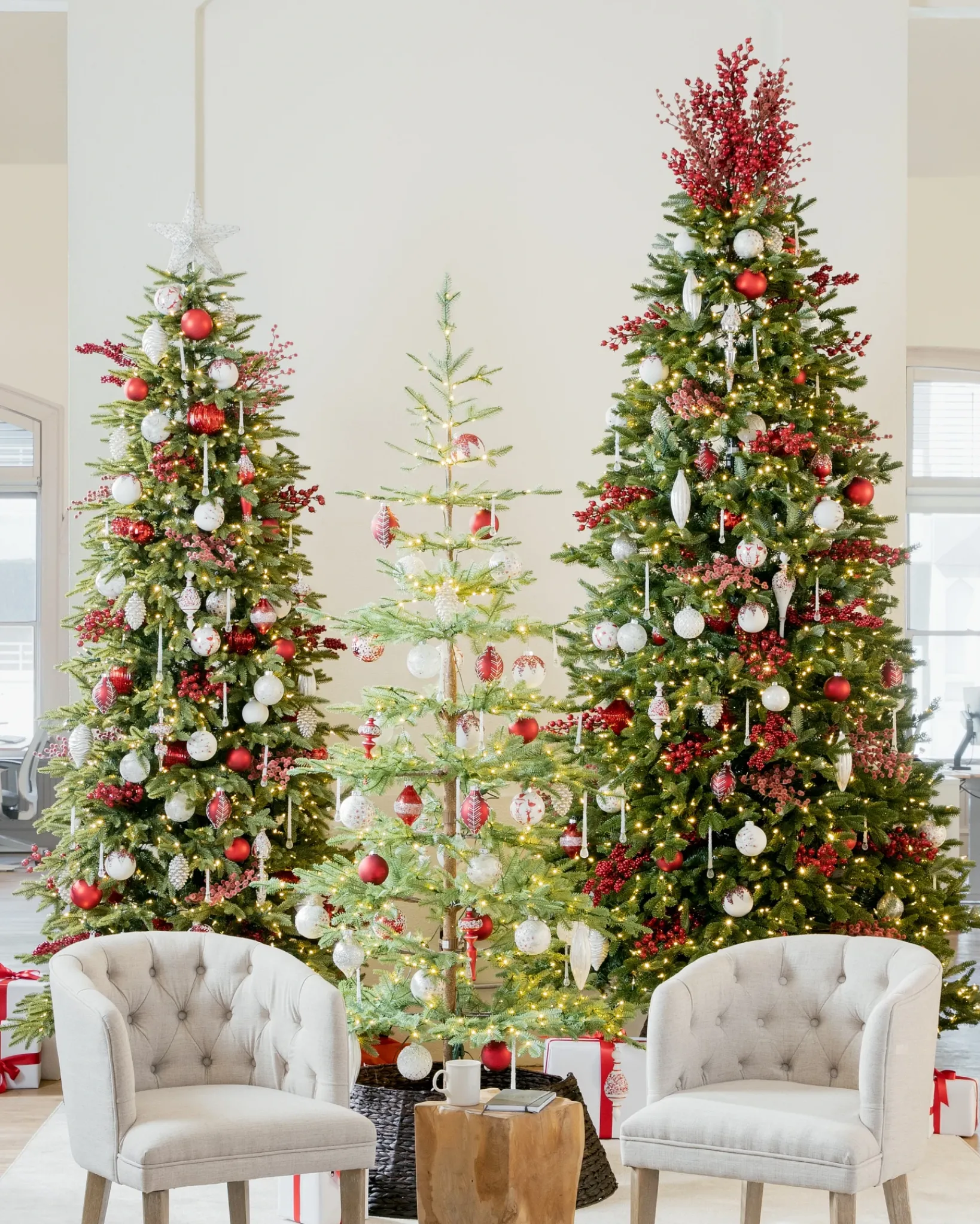 Hot Alpine Balsam Fir Trees 7 - 7.5 Feet|Under 6 Feet