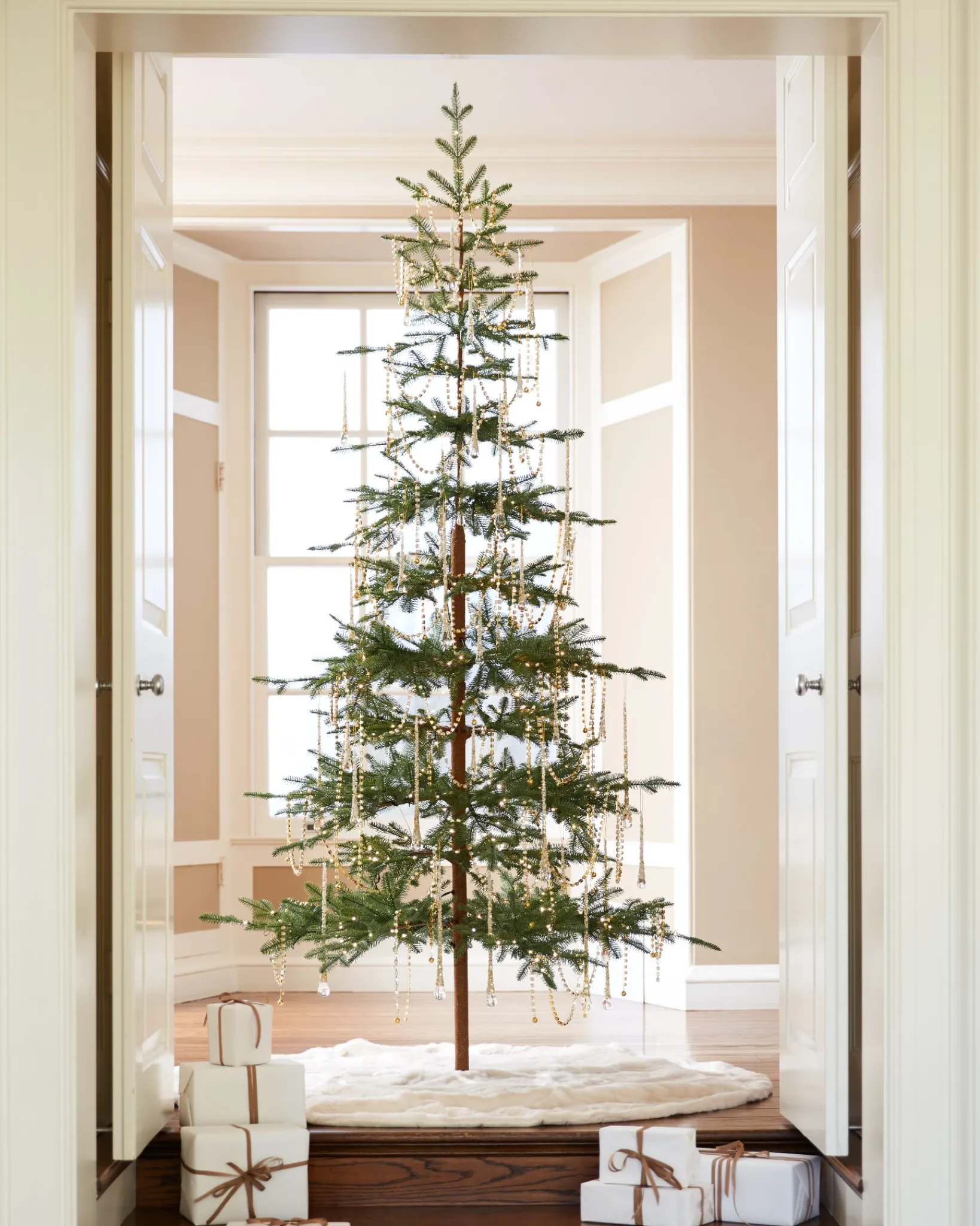 Hot Alpine Balsam Fir Trees 7 - 7.5 Feet|Under 6 Feet