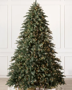 Clearance Aspen Estate Fir® ReNEW™ 7 - 7.5 Feet|8 - 9 Feet