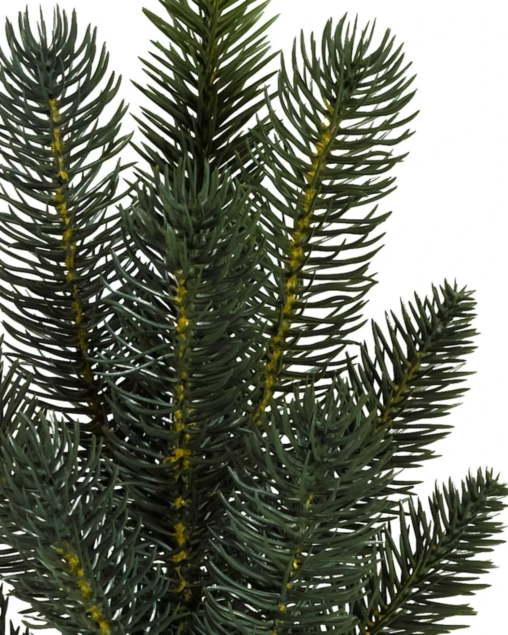 Clearance Aspen Estate Fir® ReNEW™ 7 - 7.5 Feet|8 - 9 Feet