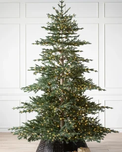 Discount Aspen Silver Fir® ReNEW™ 7 - 7.5 Feet|Pre-Lit