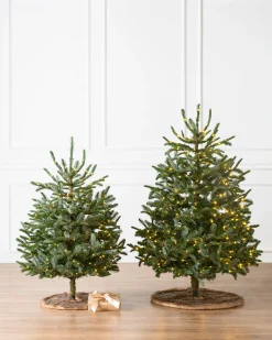 Baby Nordmann Artificial Tabletop Christmas Trees Tabletop & Accent Trees