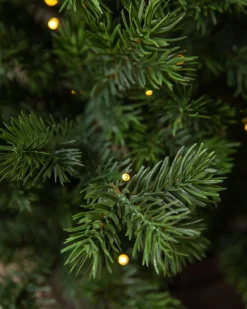 New Baby Yukon Spruce® Potted Trees Outdoor Safe