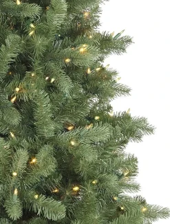 Clearance Bellevue Spruce Trees 7 - 7.5 Feet|Unlit
