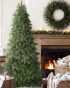 Clearance Bellevue Spruce Trees 7 - 7.5 Feet|Unlit