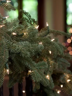 Outlet Berkshire Mountain Fir® Foliage 26 - 28 Inch|30 - 42 Inch