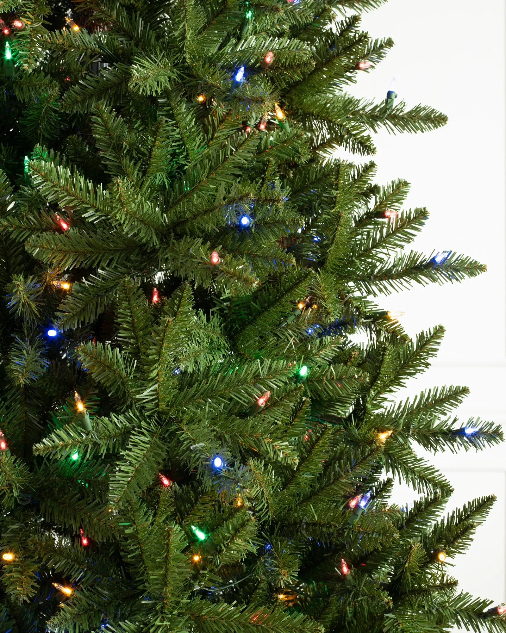 Berkshire Mountain Fir Trees 7 - 7.5 Feet|Under 6 Feet
