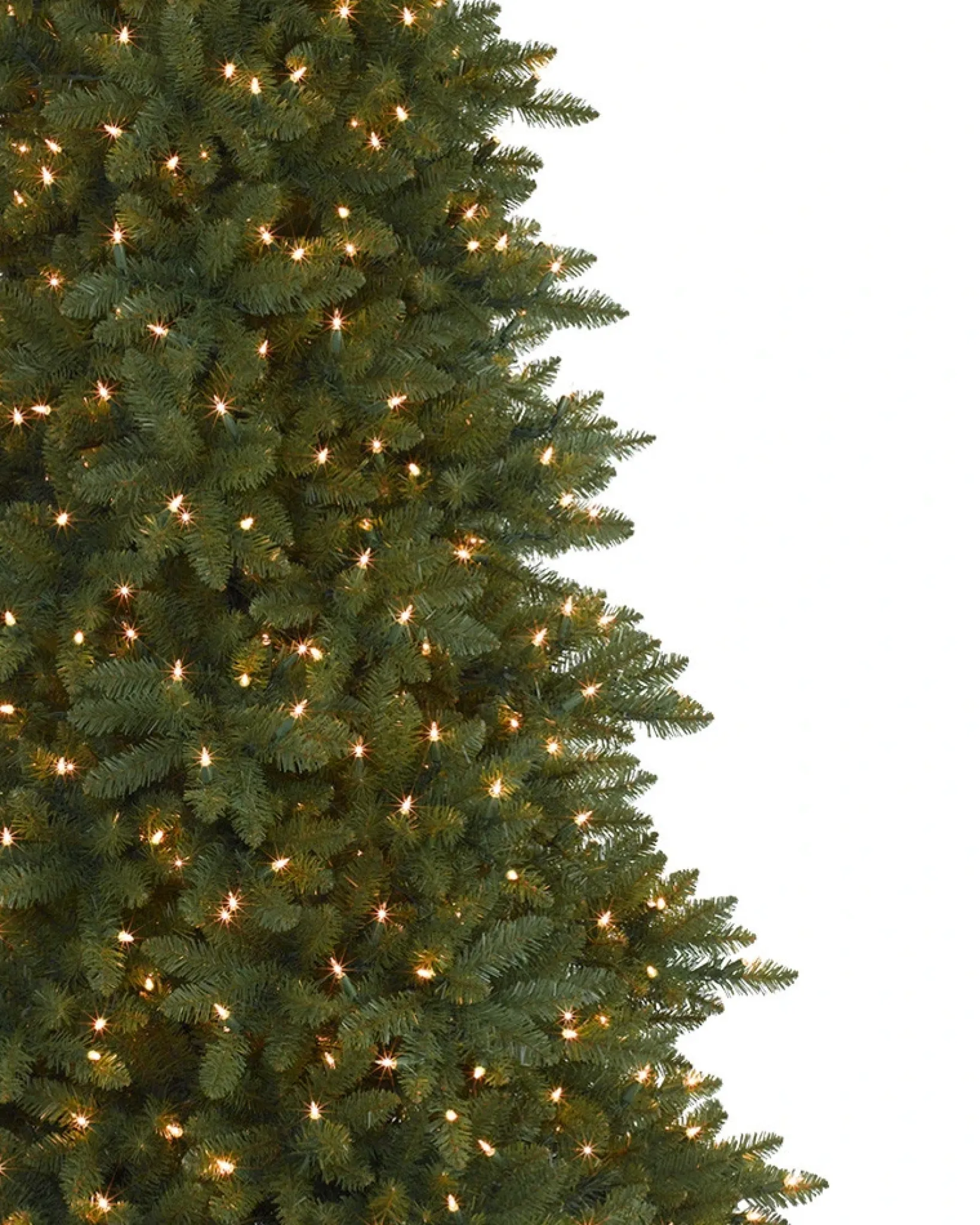 Berkshire Mountain Fir Trees 7 - 7.5 Feet|Under 6 Feet