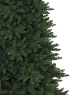 Berkshire Mountain Fir Trees 7 - 7.5 Feet|Under 6 Feet