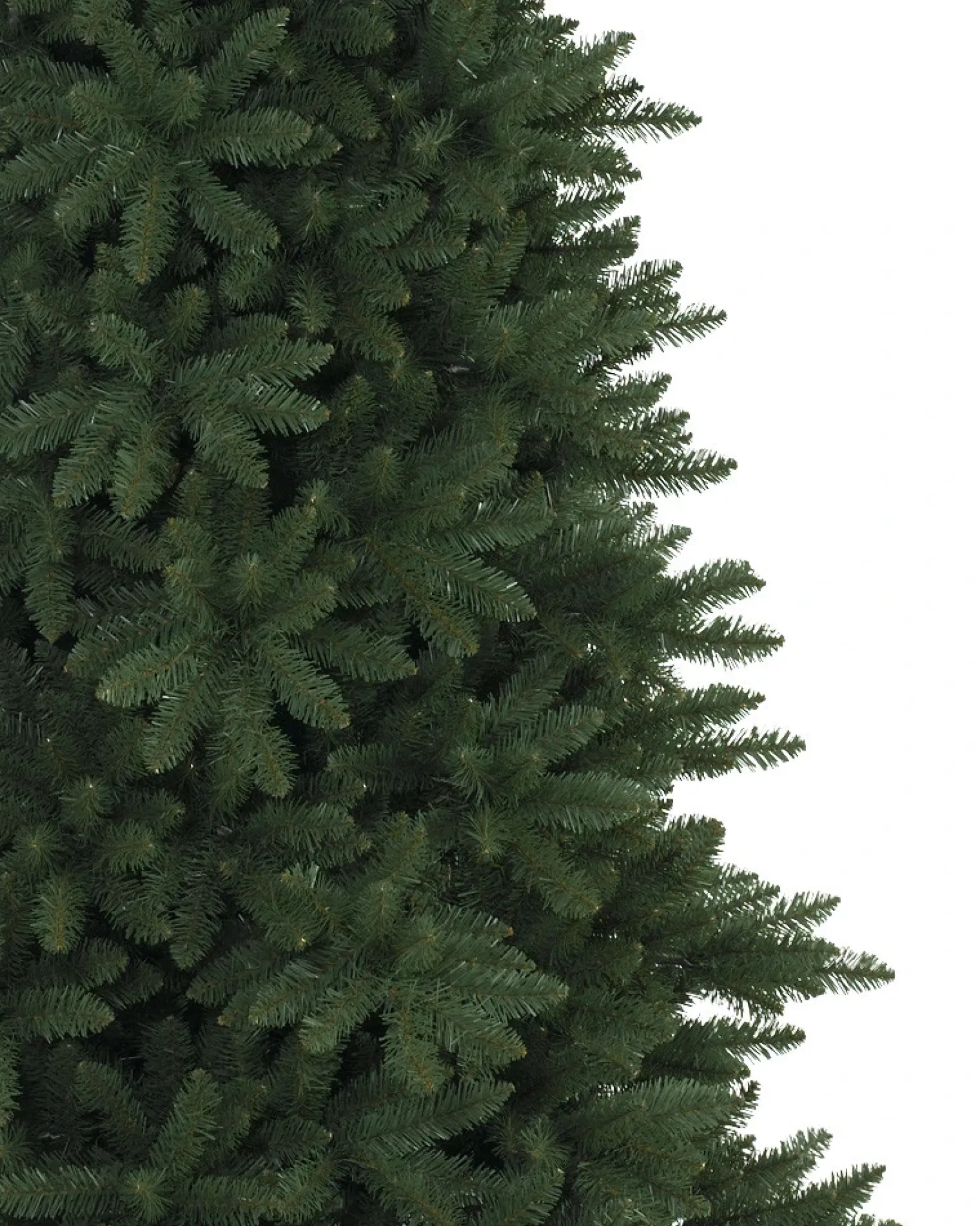 Berkshire Mountain Fir Trees 7 - 7.5 Feet|Under 6 Feet