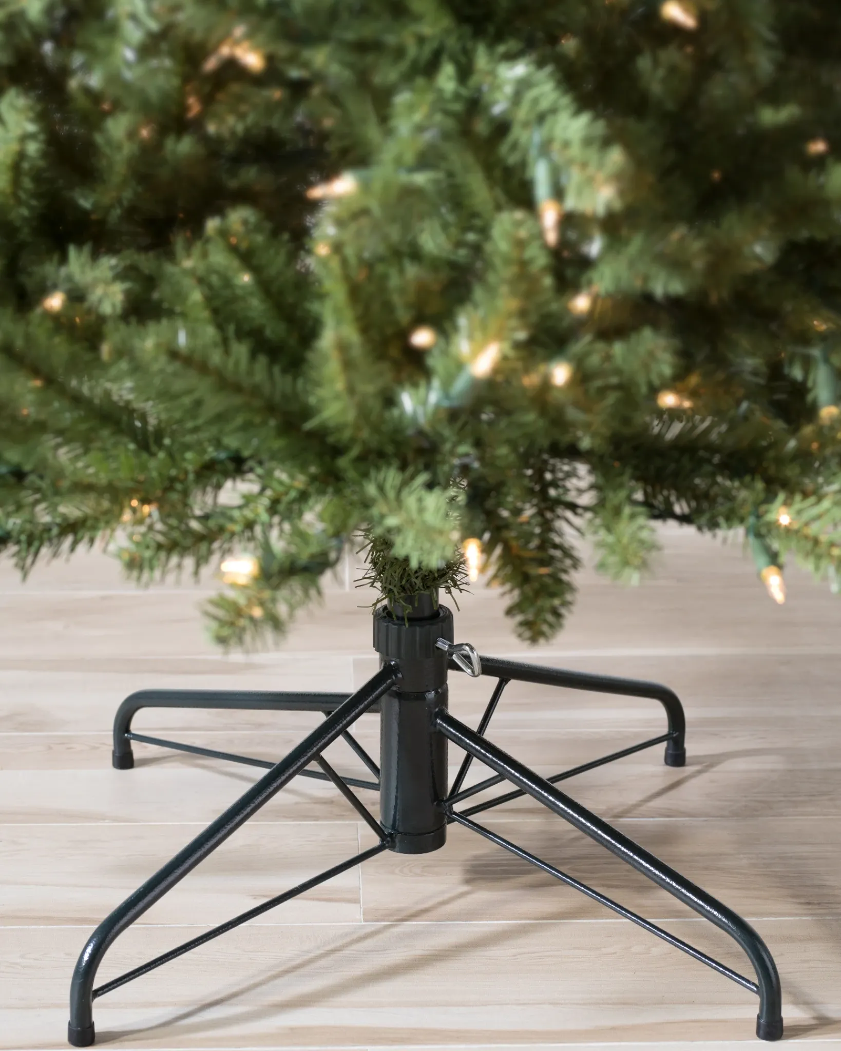 Berkshire Mountain Fir Trees 7 - 7.5 Feet|Under 6 Feet