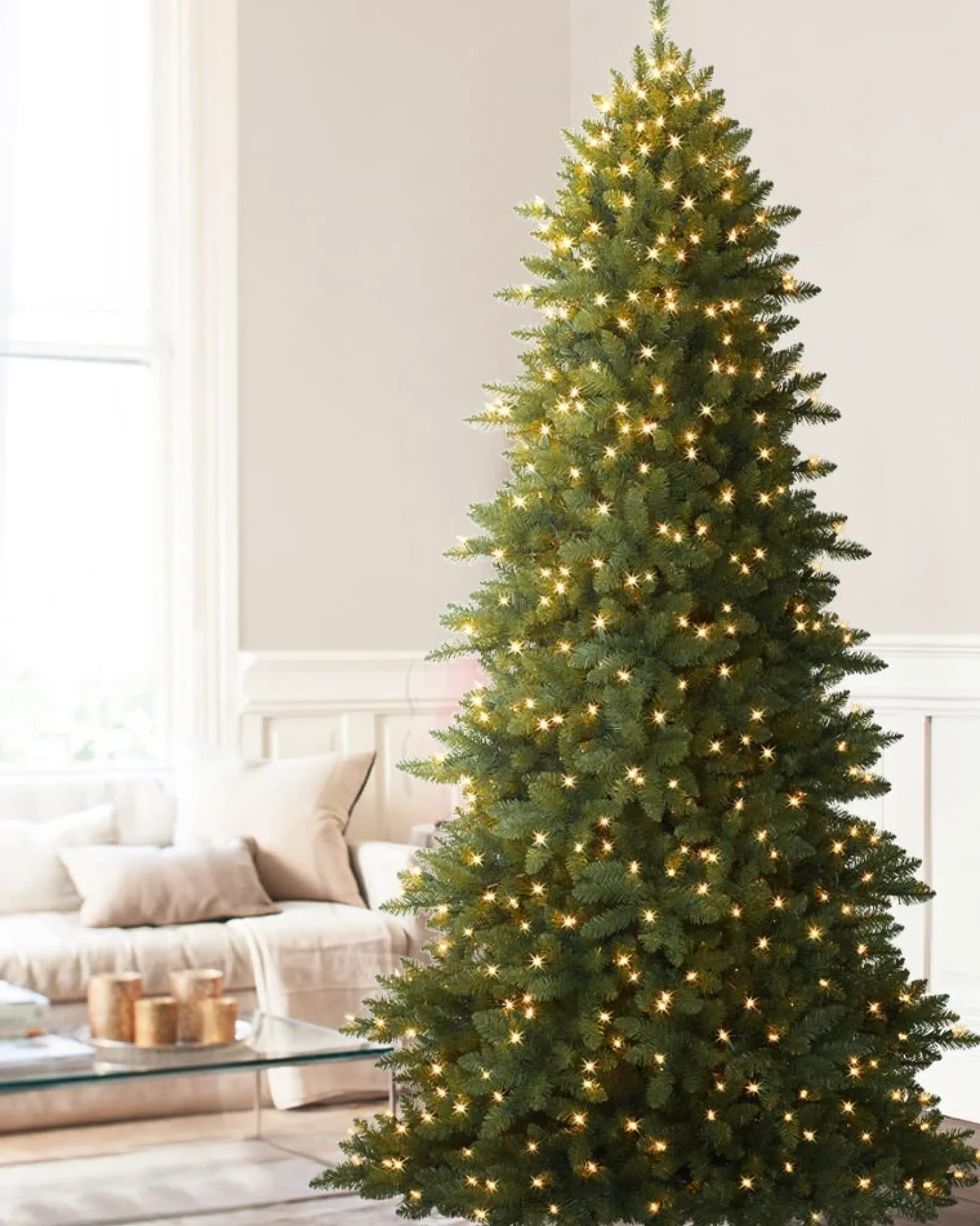 Berkshire Mountain Fir Trees 7 - 7.5 Feet|Under 6 Feet