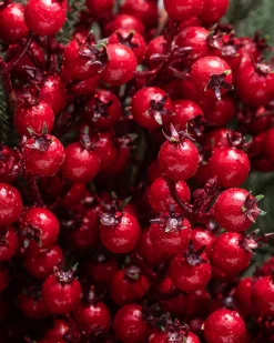 New Berry Bouquet Christmas Tree Topper Toppers