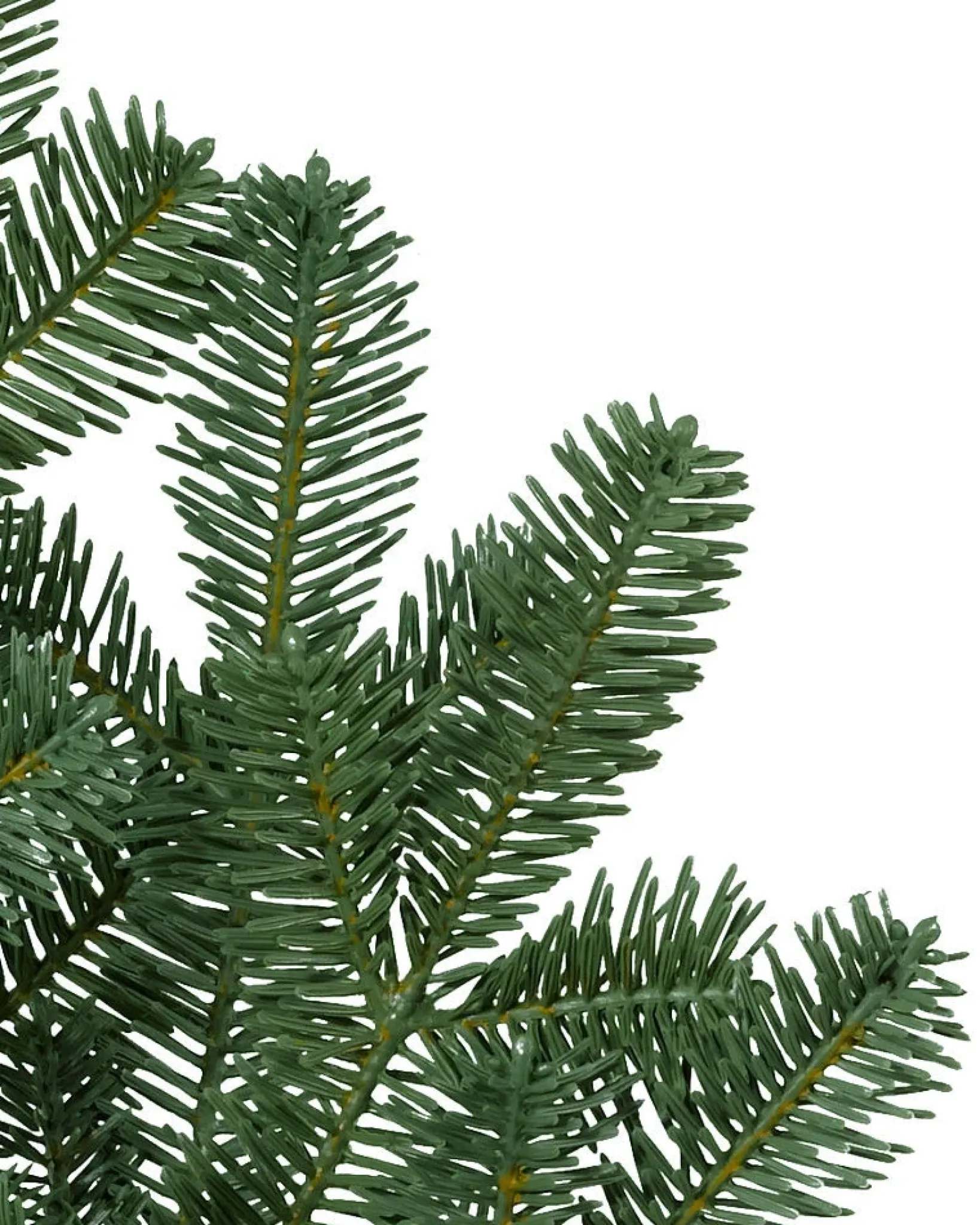 Online BH Balsam Fir Foliage 18 - 24 Inch|26 - 28 Inch