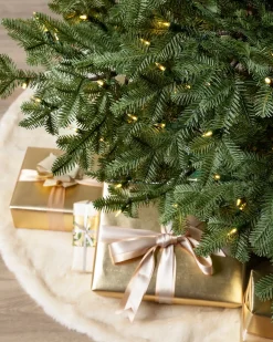 Outlet BH Balsam Fir® ReNEW™ 7 - 7.5 Feet|Pre-Lit