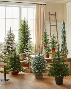 Outlet BH Balsam Fir Tabletop Tabletop & Accent Trees|Gifts For Christmas