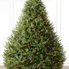 Hot BH Balsam Fir® Trees 7 - 7.5 Feet|Pre-Lit
