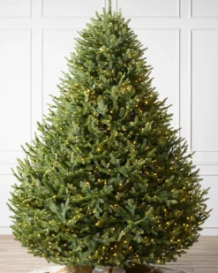 Hot BH Balsam Fir® Trees 7 - 7.5 Feet|Pre-Lit