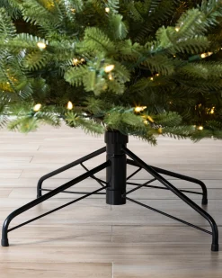 Hot BH Balsam Fir® Trees 7 - 7.5 Feet|Pre-Lit