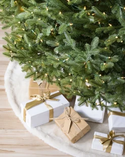Hot BH Balsam Fir® Trees 7 - 7.5 Feet|Pre-Lit
