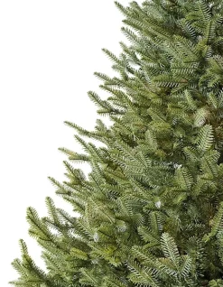 Hot BH Balsam Fir® Trees 7 - 7.5 Feet|Pre-Lit