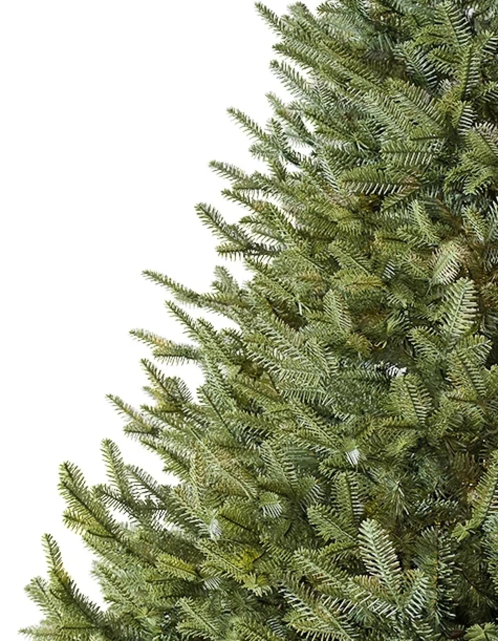 Hot BH Balsam Fir® Trees 7 - 7.5 Feet|Pre-Lit