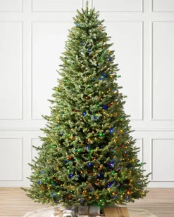 Hot BH Balsam Fir® Trees 7 - 7.5 Feet|Pre-Lit