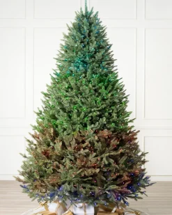 Hot BH Balsam Fir® Trees 7 - 7.5 Feet|Pre-Lit