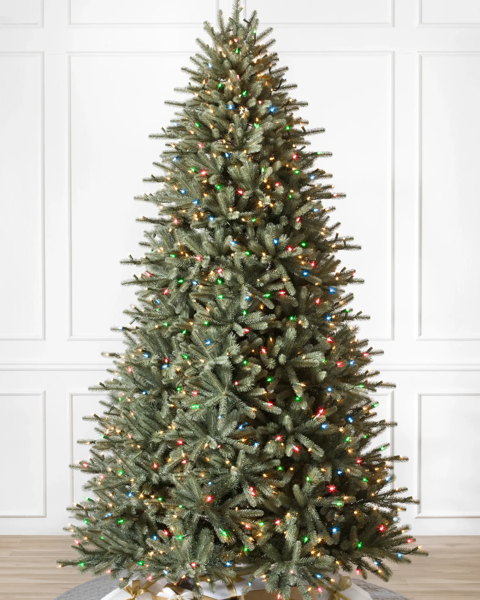 Hot BH Blue Spruce Trees 7 - 7.5 Feet|8 - 9 Feet