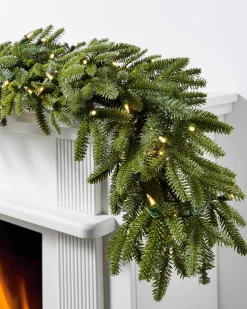 Outlet BH Fraser Fir Foliage 18 - 24 Inch|26 - 28 Inch