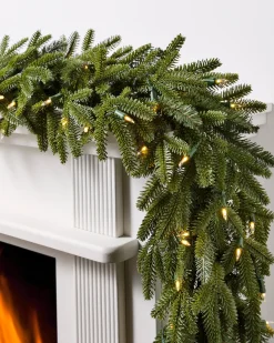 Outlet BH Fraser Fir Foliage 18 - 24 Inch|26 - 28 Inch