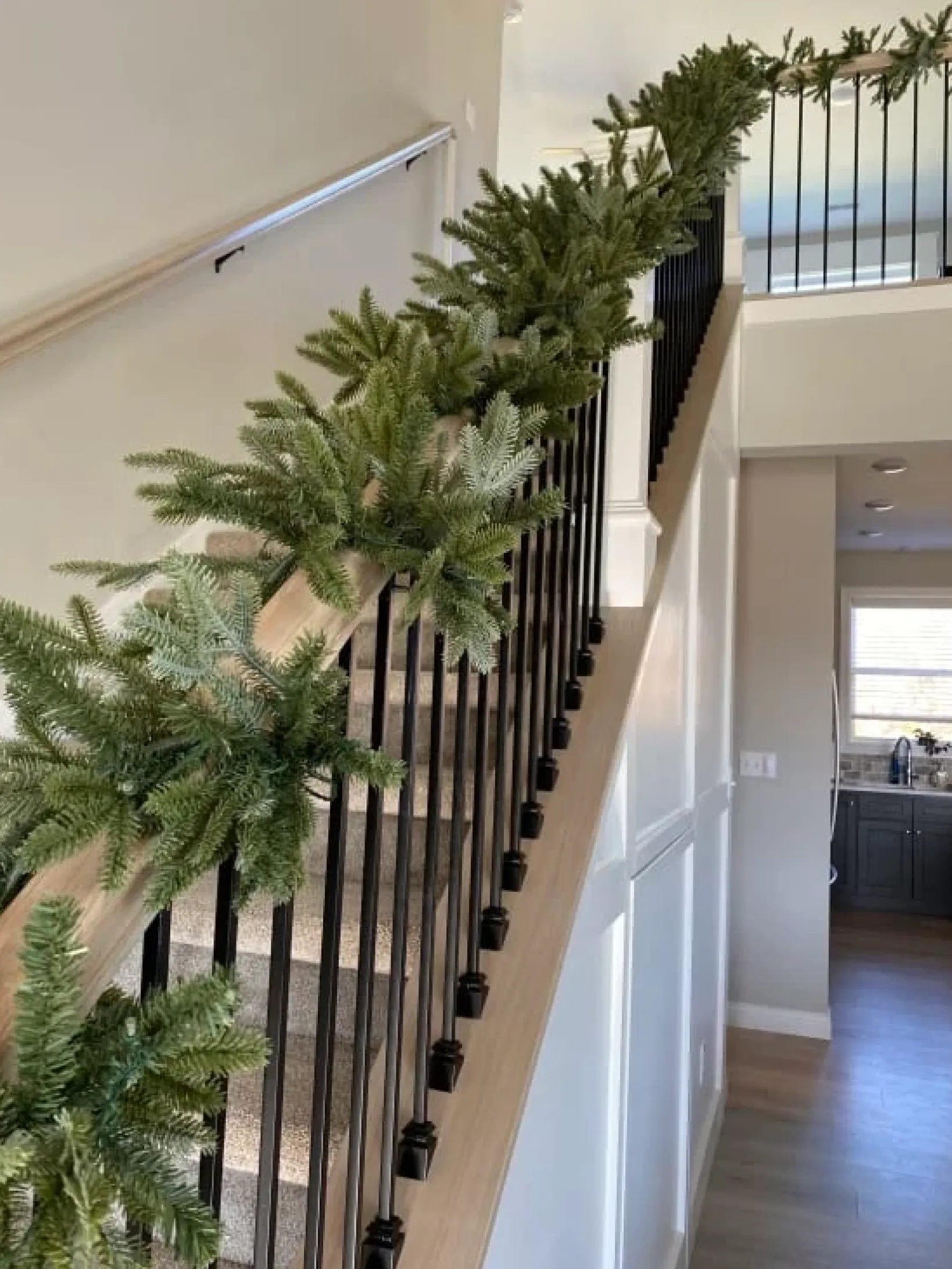 Outlet BH Fraser Fir Foliage 18 - 24 Inch|26 - 28 Inch