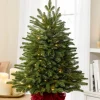 Online BH Fraser Fir® Tabletop Tree Tabletop & Accent Trees