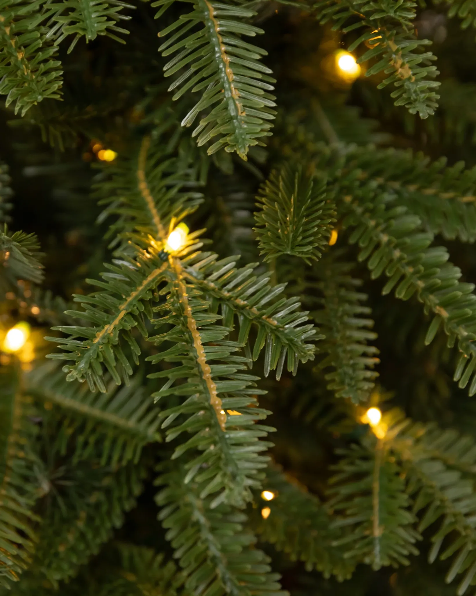 Online BH Fraser Fir® Tabletop Tree Tabletop & Accent Trees