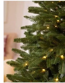 Online BH Fraser Fir® Tabletop Tree Tabletop & Accent Trees
