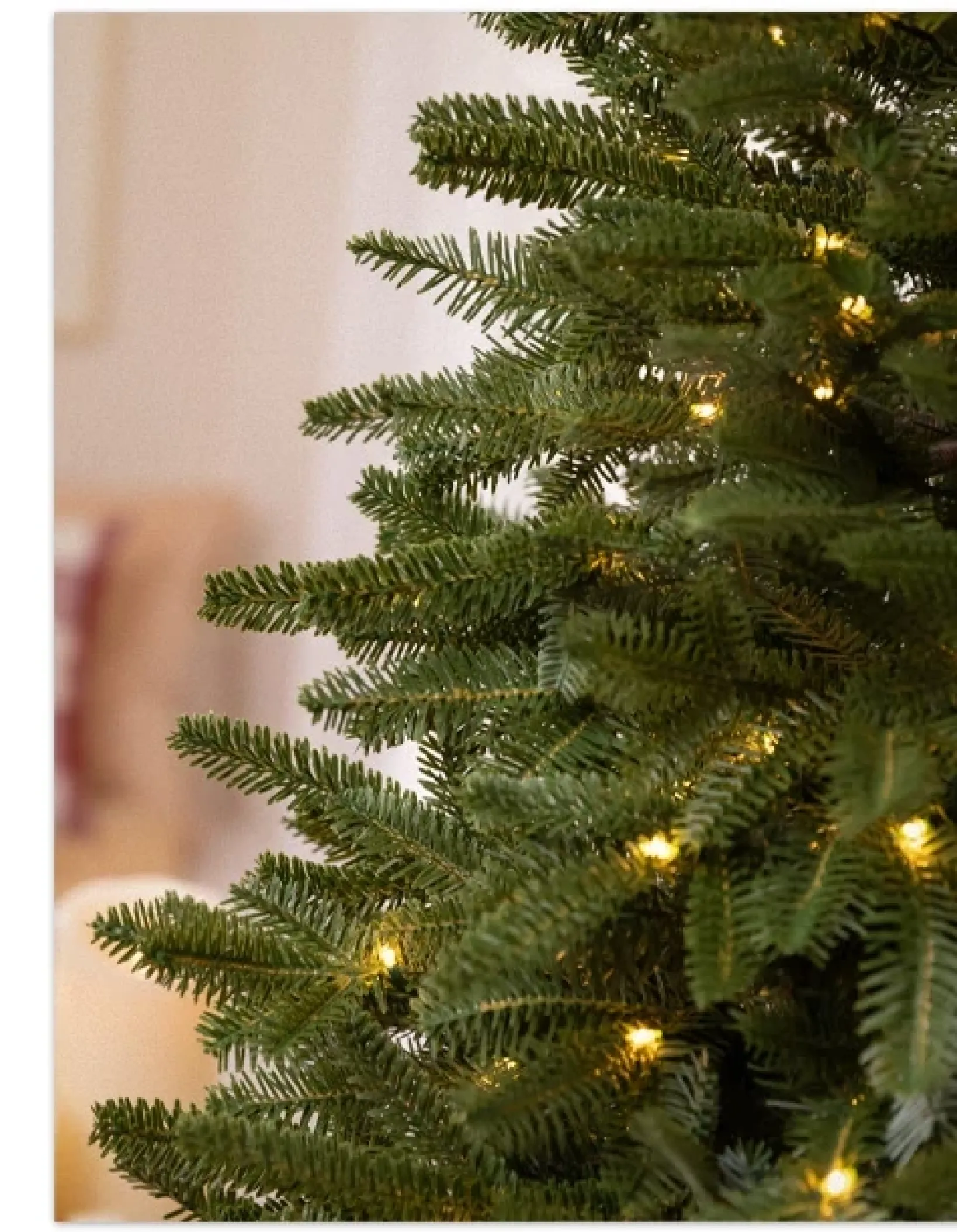 Online BH Fraser Fir® Tabletop Tree Tabletop & Accent Trees