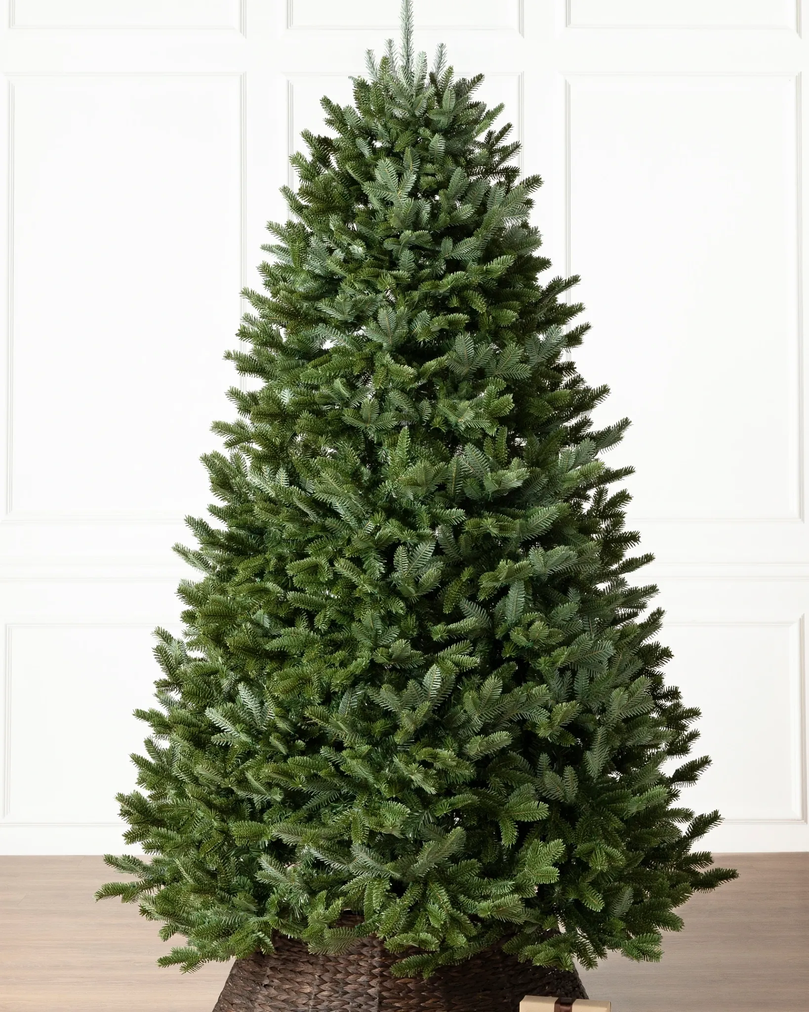 New BH Fraser Fir Trees 7 - 7.5 Feet|7 - 7.5 Feet