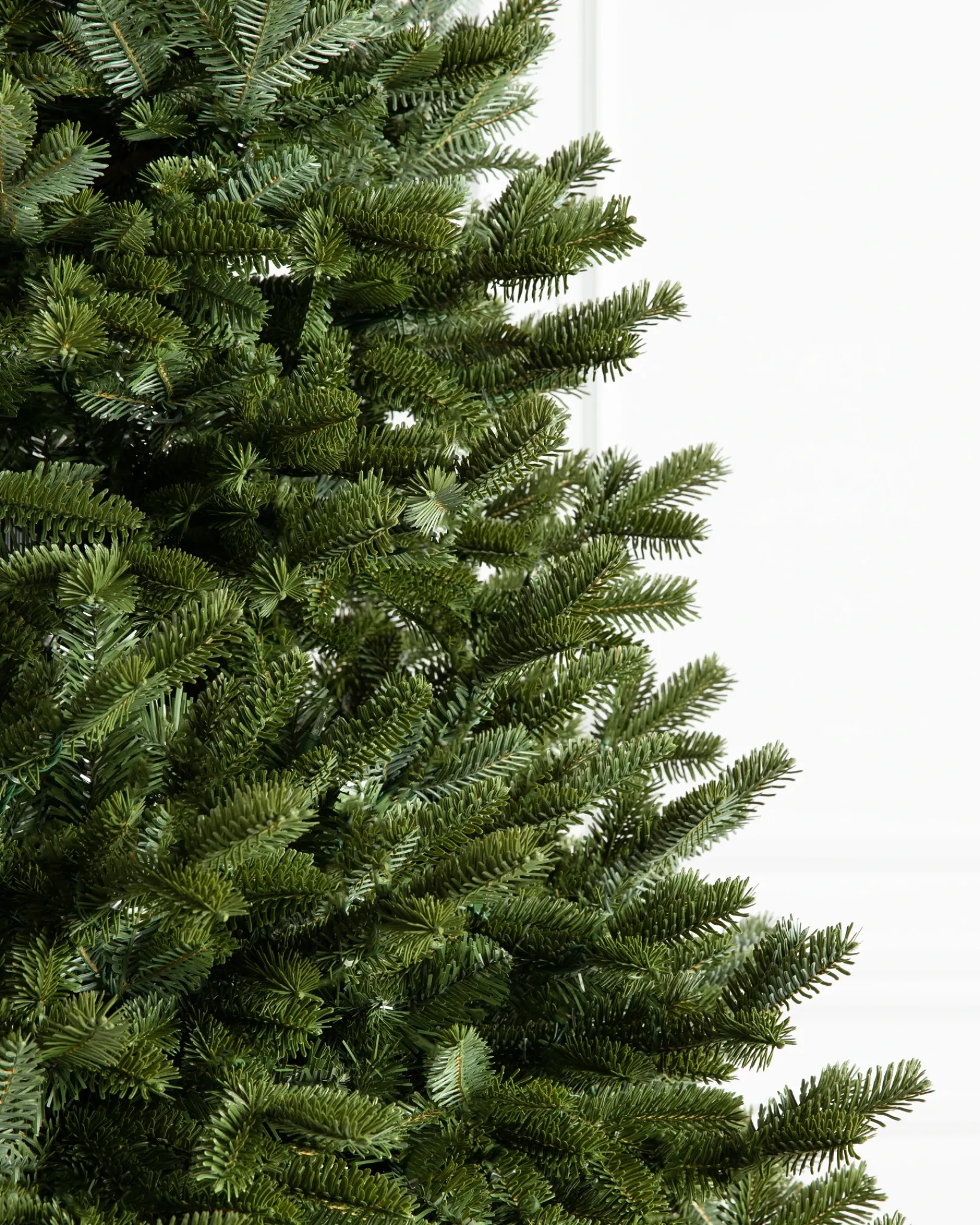 New BH Fraser Fir Trees 7 - 7.5 Feet|7 - 7.5 Feet