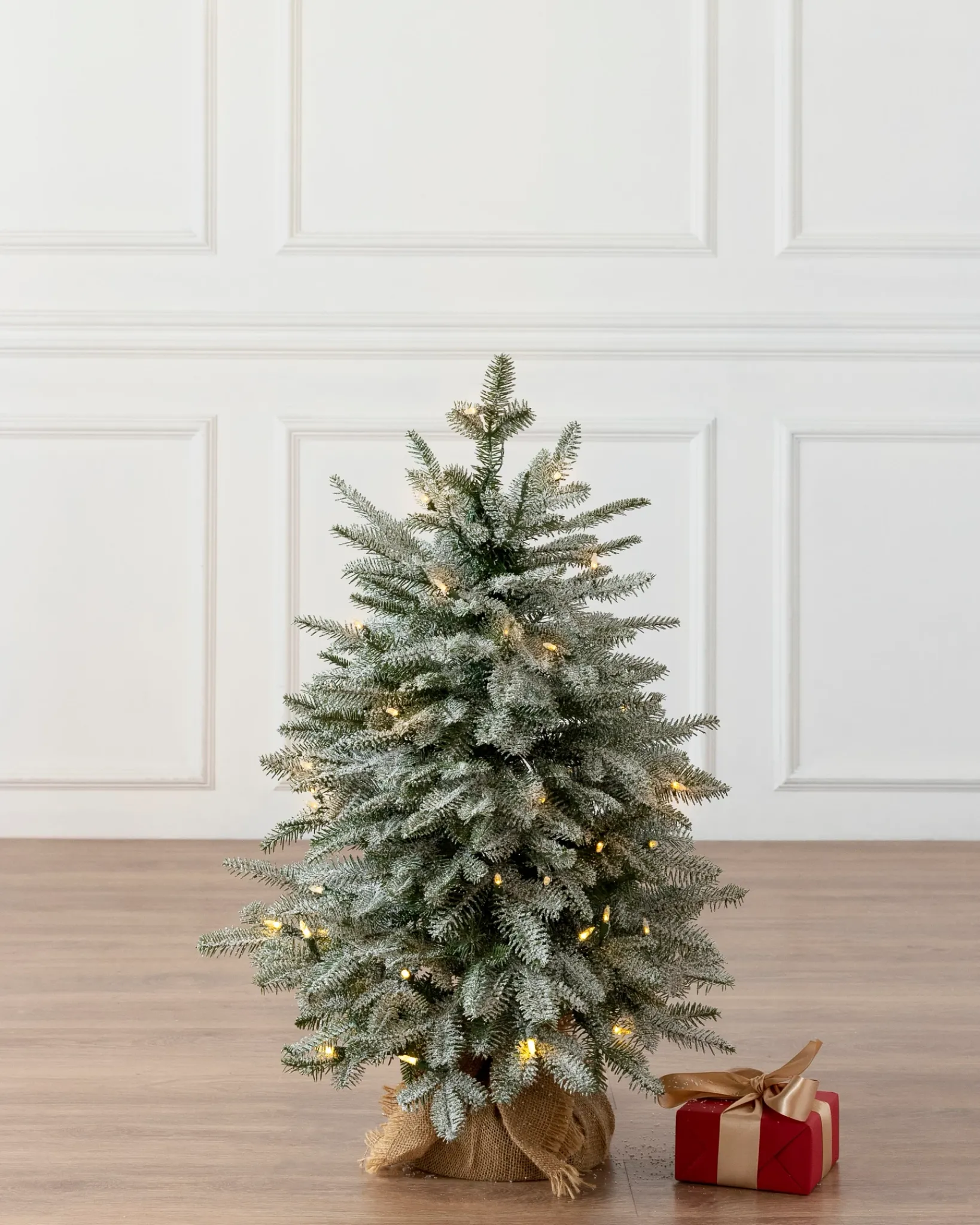 BH Frosted Balsam Fir® Tabletop Trees Tabletop & Accent Trees