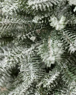 BH Frosted Balsam Fir® Tabletop Trees Tabletop & Accent Trees