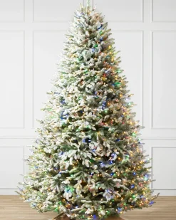 Hot BH Frosted Balsam Fir Trees 7 - 7.5 Feet|6 - 6.5 Feet