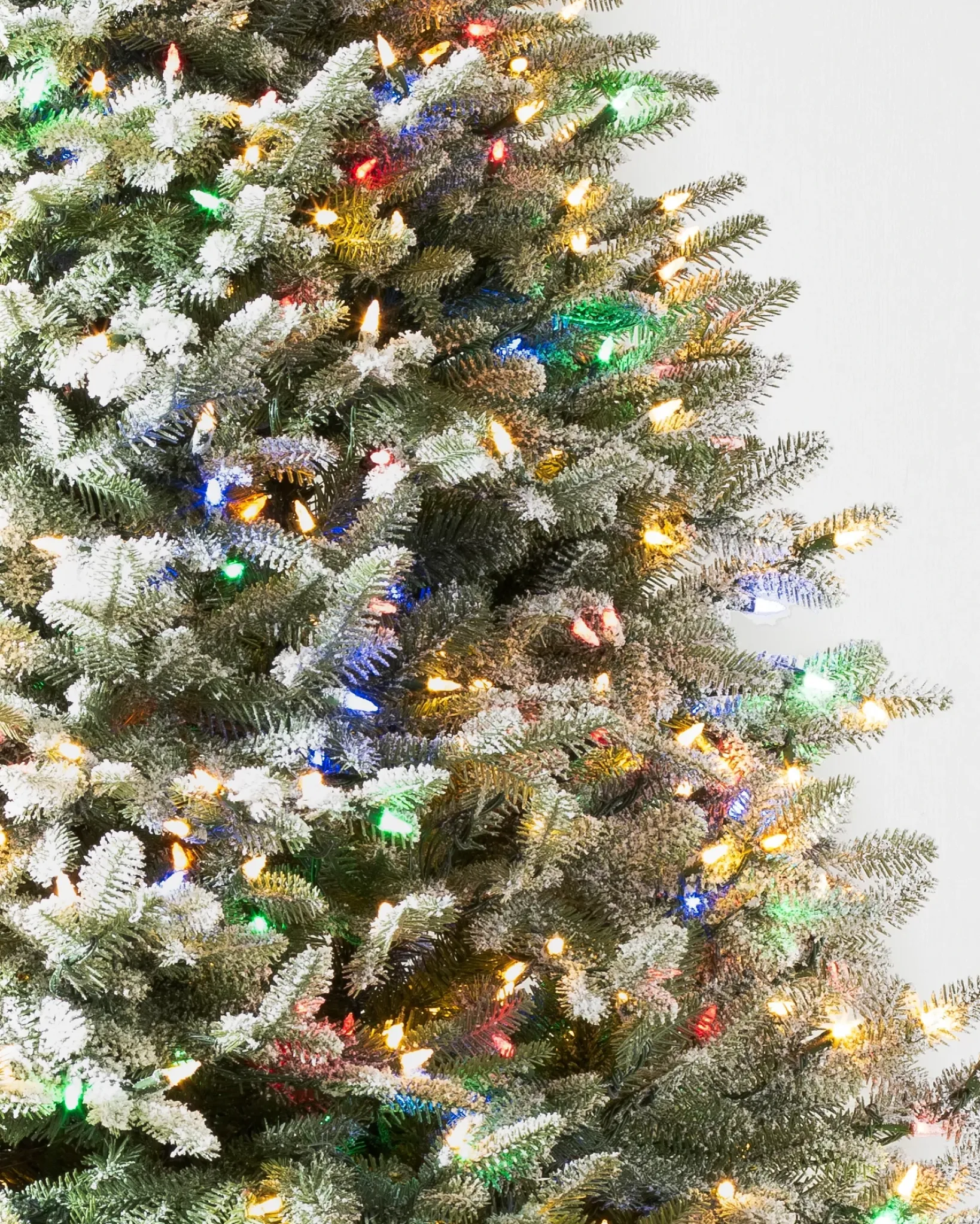 Hot BH Frosted Balsam Fir Trees 7 - 7.5 Feet|6 - 6.5 Feet