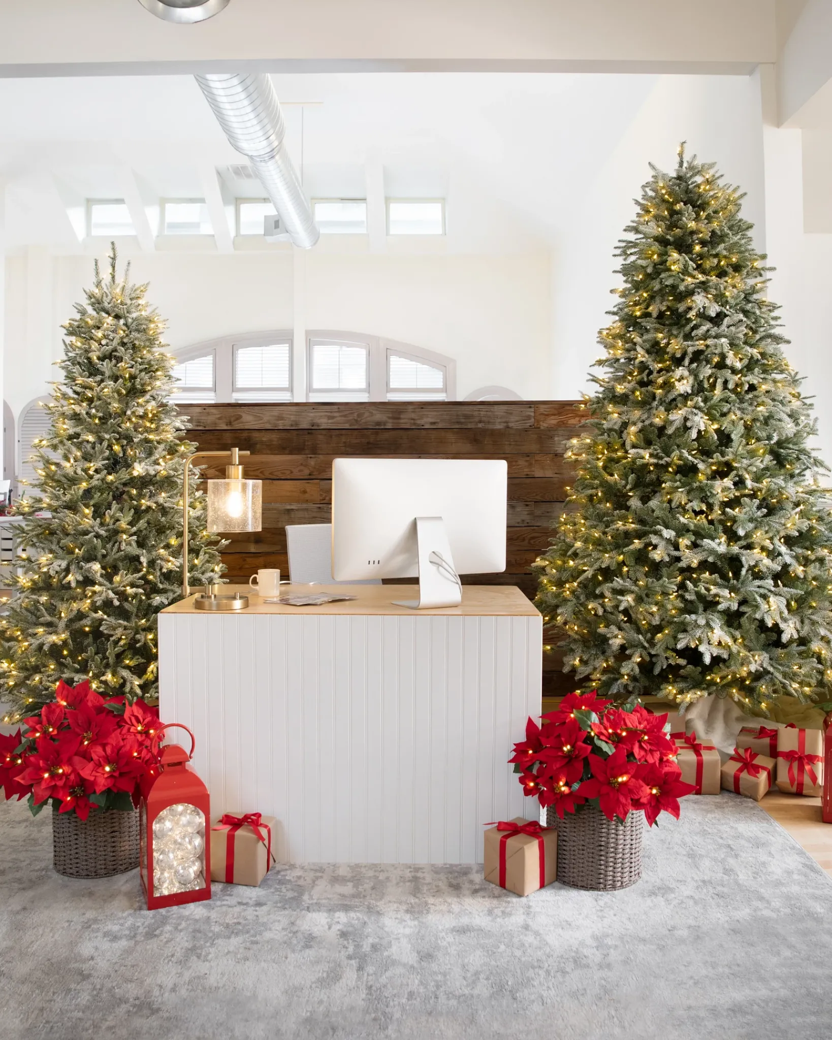 Hot BH Frosted Balsam Fir Trees 7 - 7.5 Feet|6 - 6.5 Feet