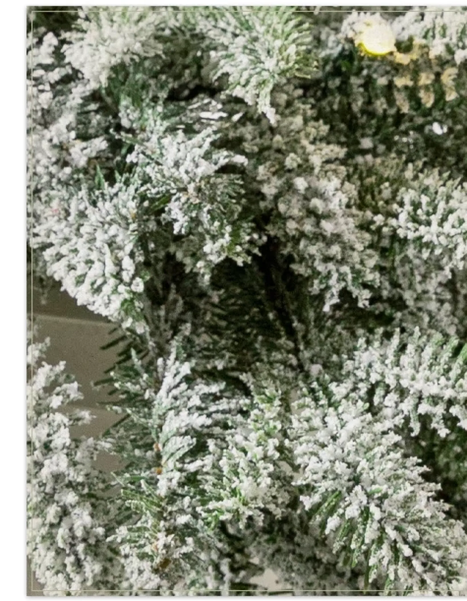 BH Frosted Fraser Fir® Foliage 5 - 7 Feet|Pre-Lit