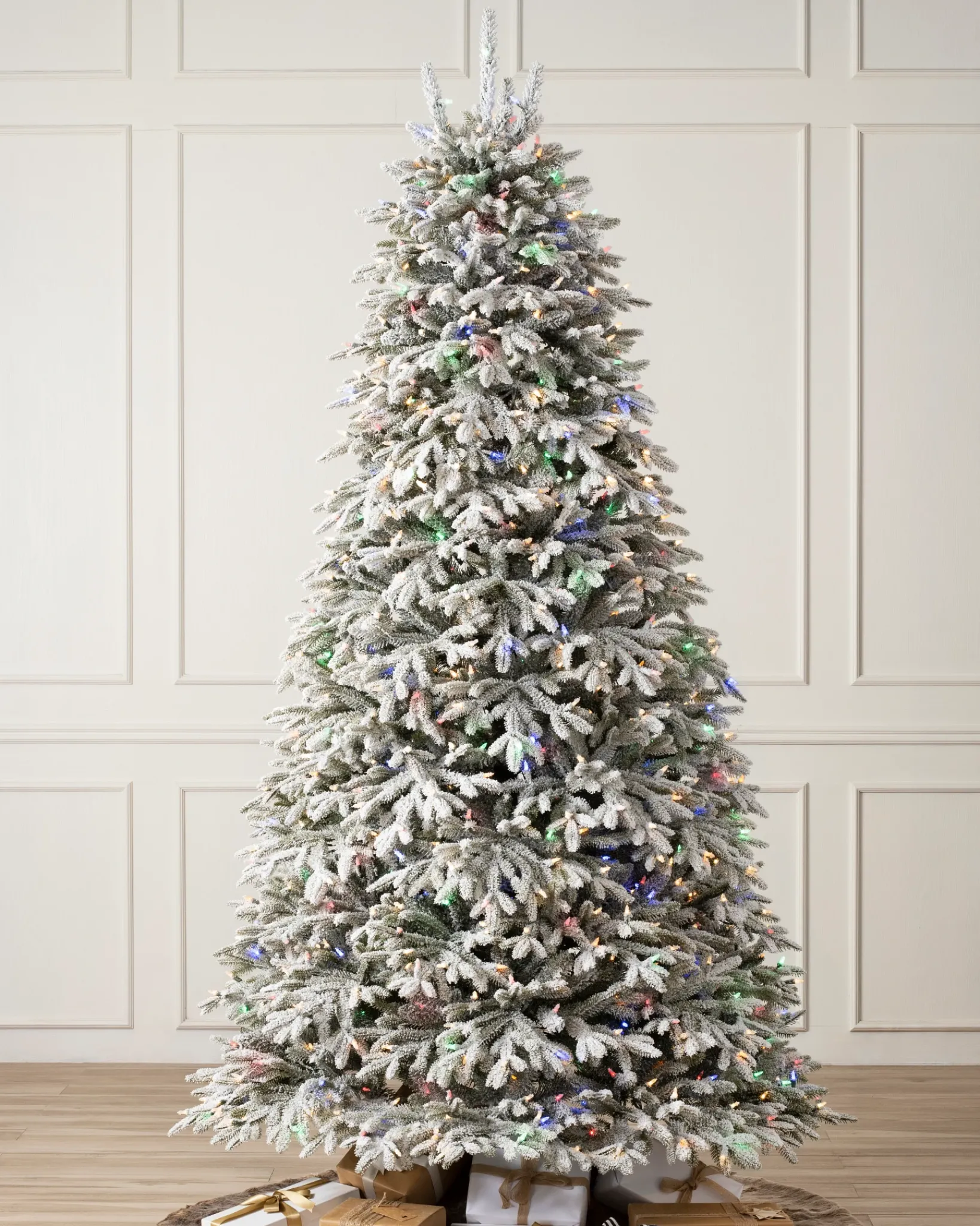 New BH Frosted Fraser Fir® Trees 7 - 7.5 Feet|Under 6 Feet